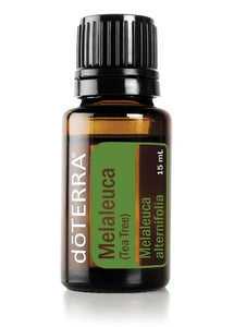 Melaleuca (Tea Tree) 15ml