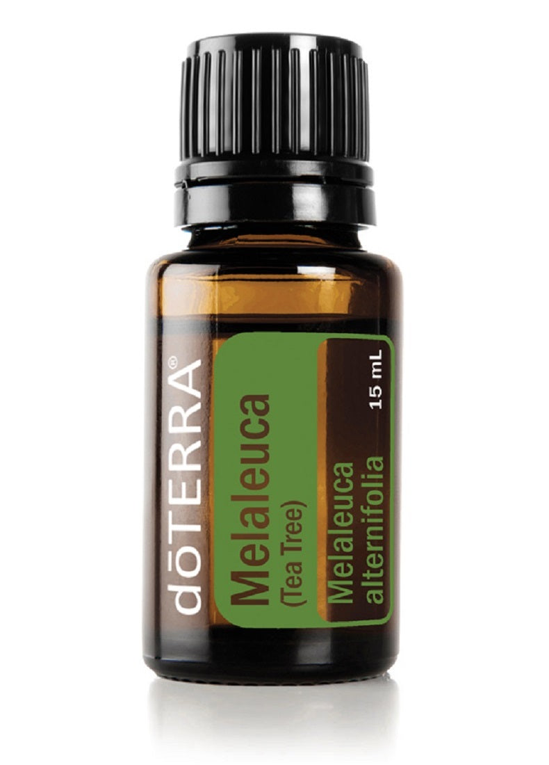 Melaleuca (Tea Tree) 15ml