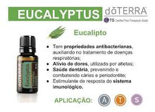 Carregar imagem no visualizador da galeria, Eucalipto 15ml
