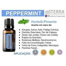 Peppermint (Hortelã Pimenta) 15 ml