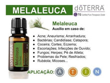 Carregar imagem no visualizador da galeria, Melaleuca (Tea Tree) 15ml
